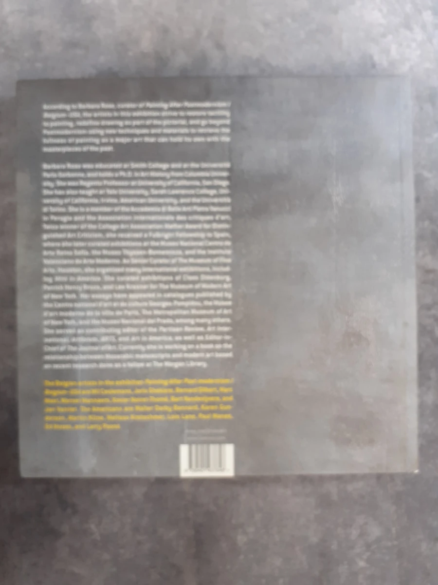 Boek: Painting after post modernism - foto 7