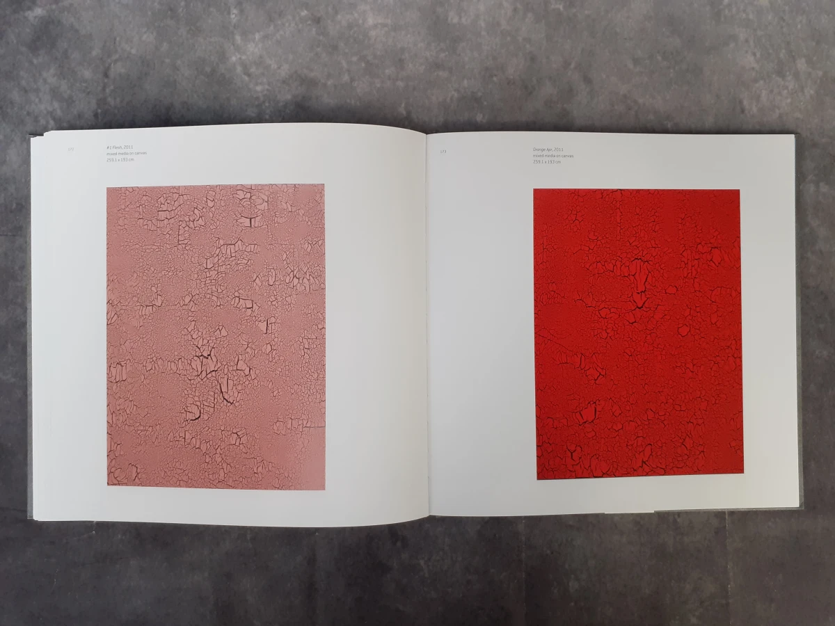 Boek: Painting after post modernism - foto 6