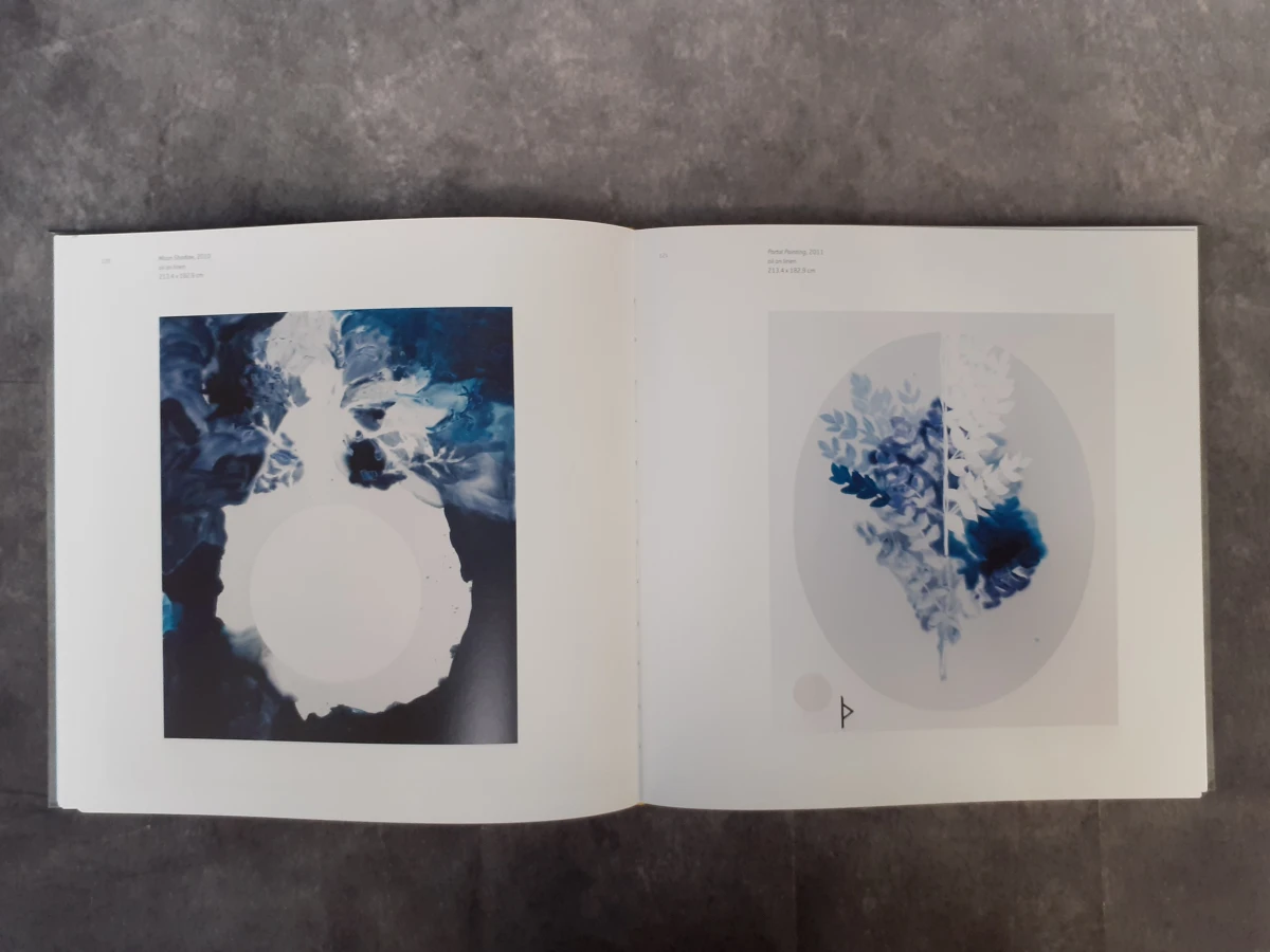 Boek: Painting after post modernism - foto 5