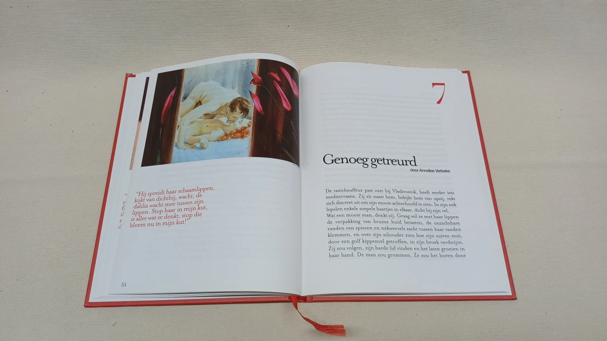 Set van 5 erotische boeken met verhalen en illustraties