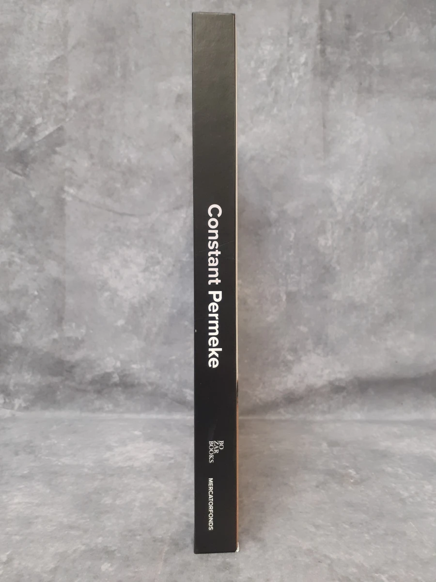 Boek: Constant Permeke - foto 2