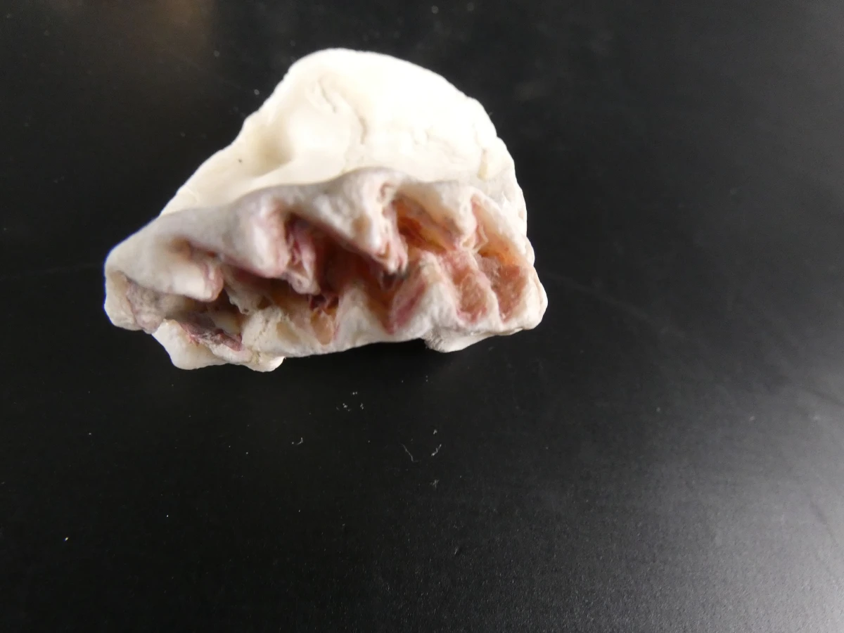 Verzameling diverse mineralen en edelstenen