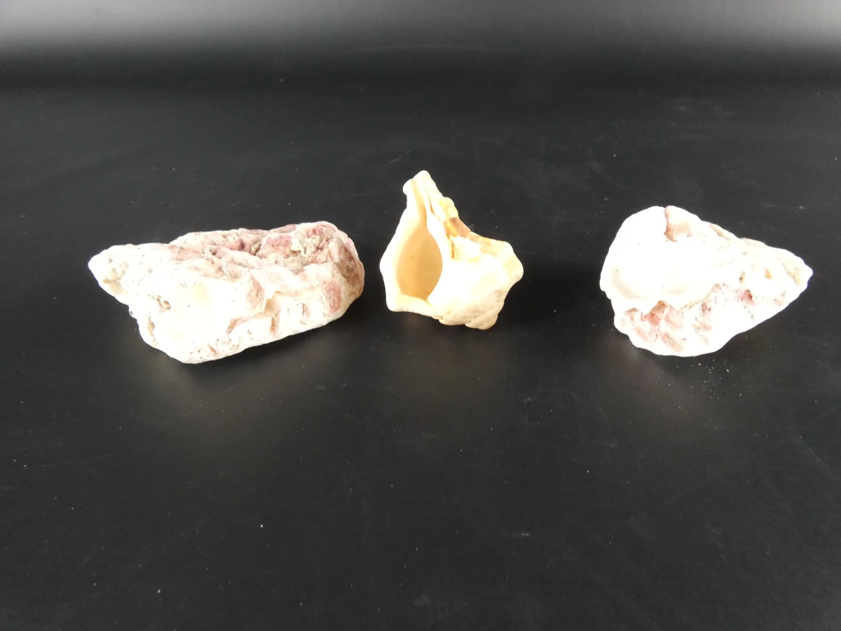 Verzameling diverse mineralen en edelstenen