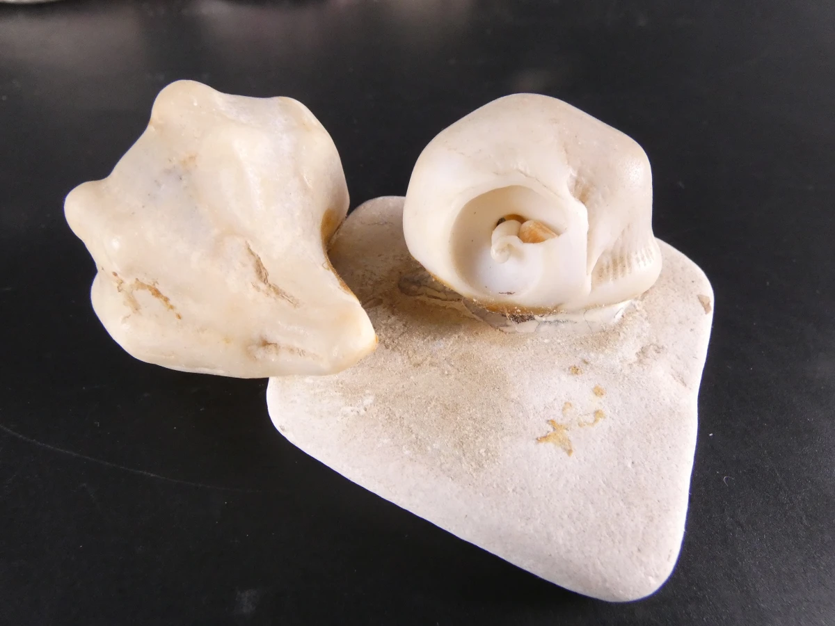 Verzameling diverse mineralen en edelstenen