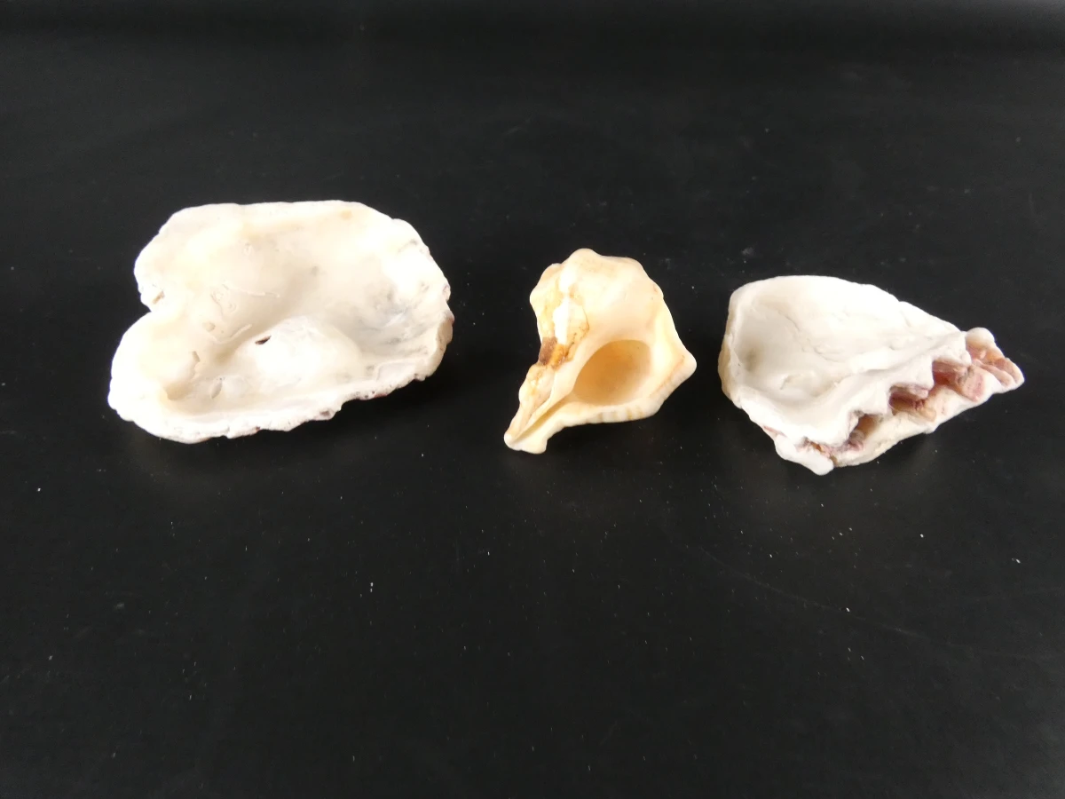 Verzameling diverse mineralen en edelstenen