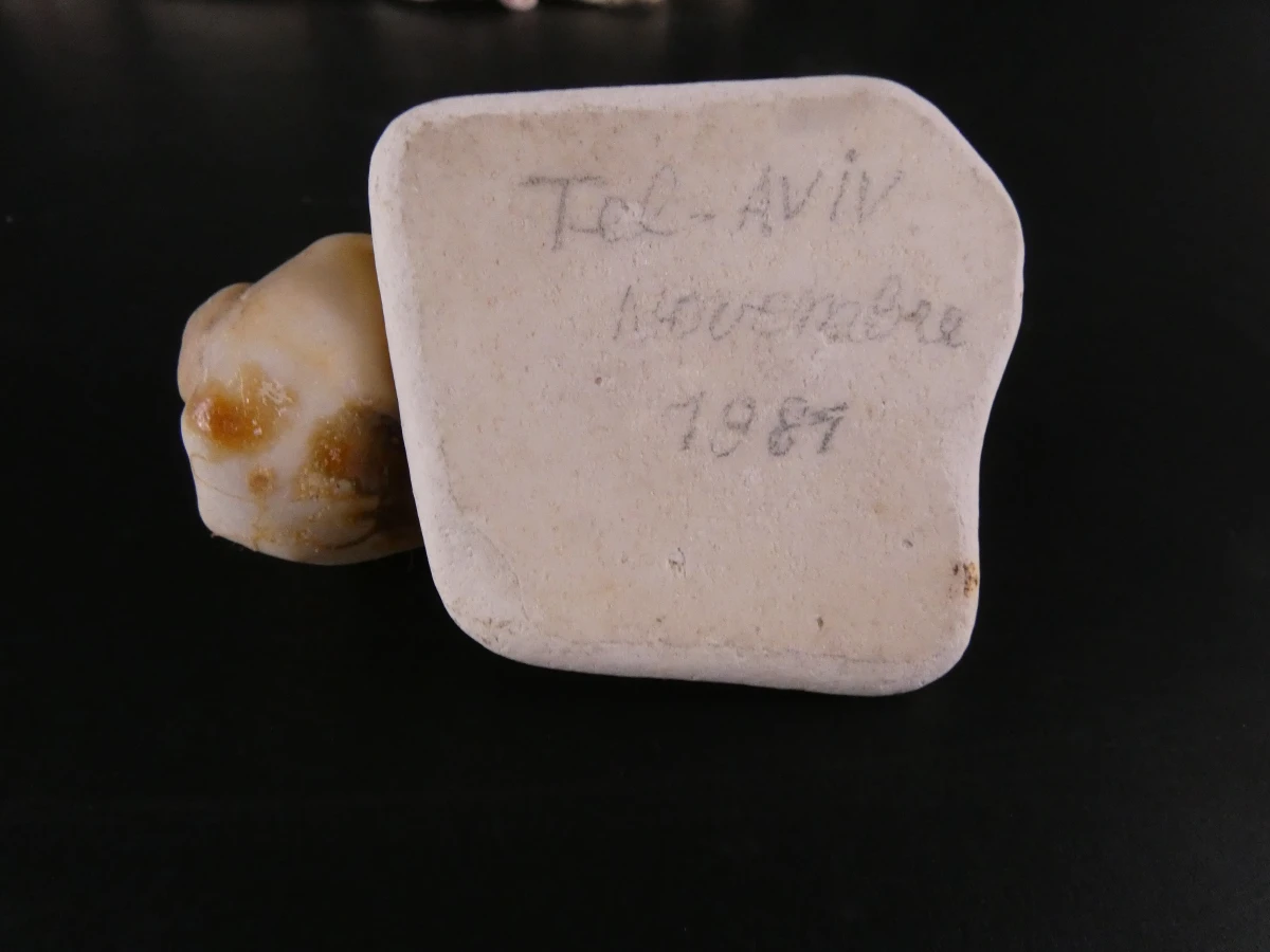 Verzameling diverse mineralen en edelstenen