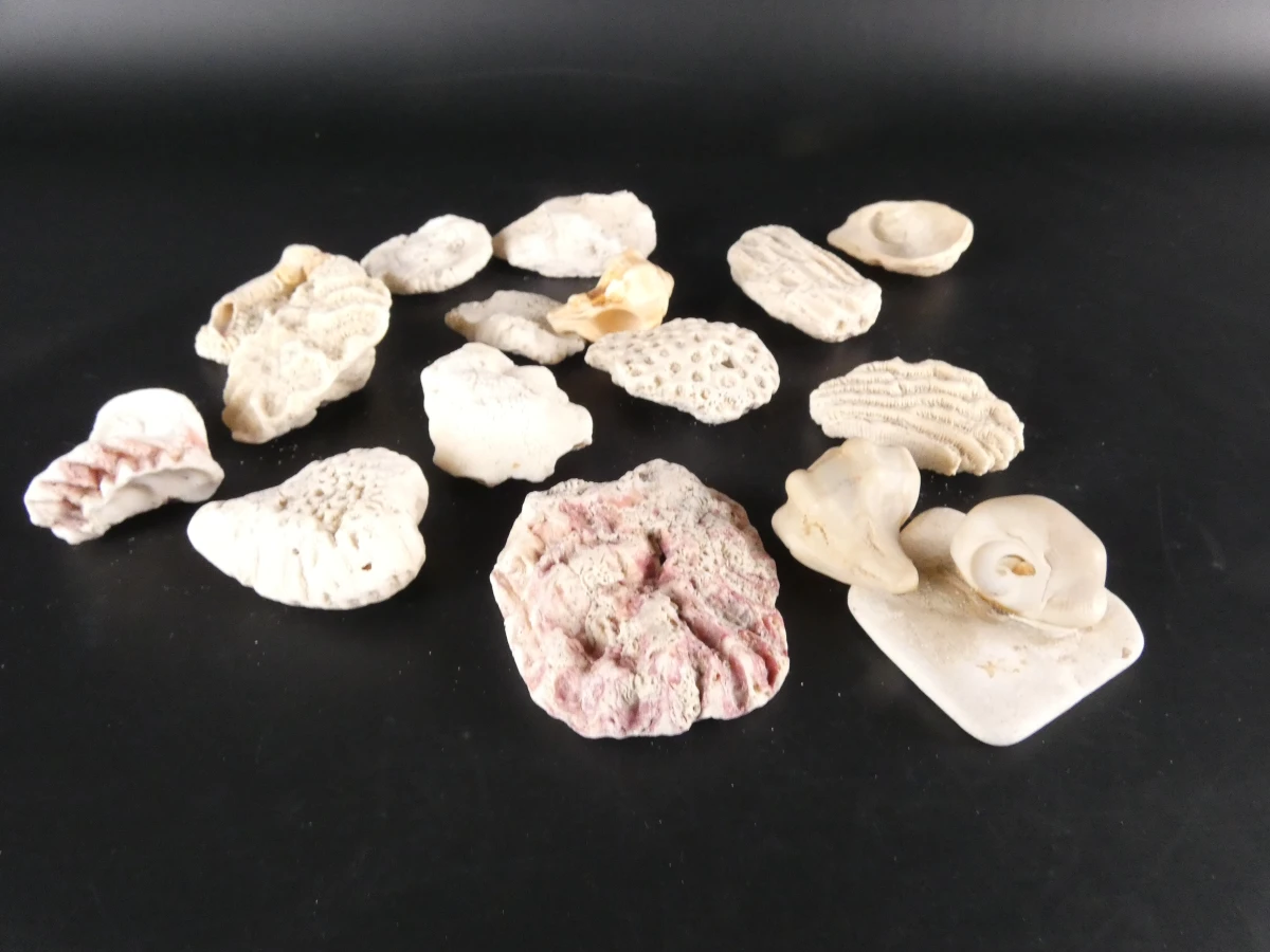 Verzameling diverse mineralen en edelstenen