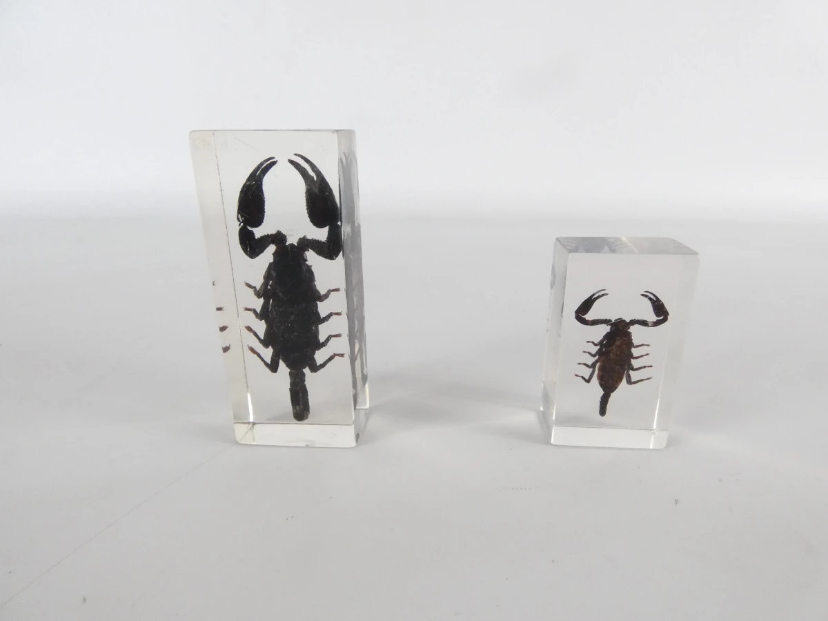 Set van ingegoten schorpioenen en insecten in hars