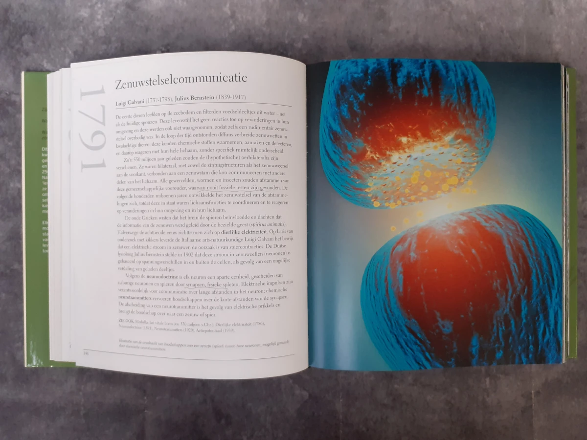 Boek: Duo van wetenschappelijke boeken; Het Biologie Boek & Het Scheikunde Boek - foto 6