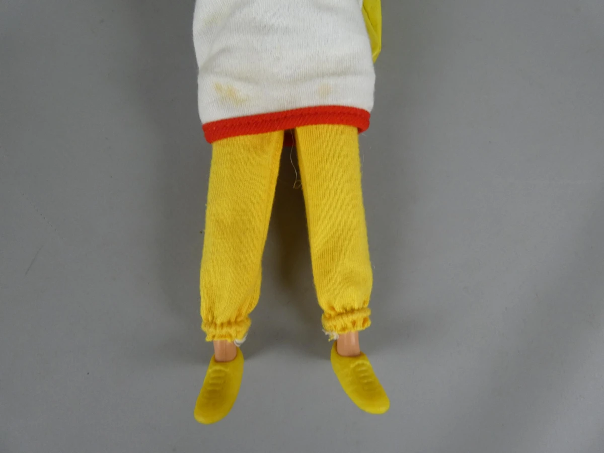 Skipper pop met accessoires van Mattel