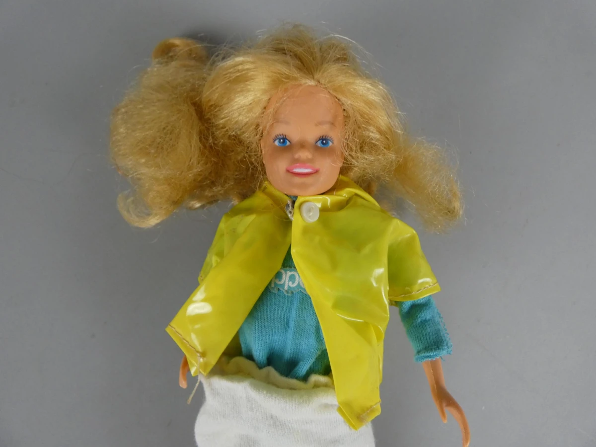 Skipper pop met accessoires van Mattel