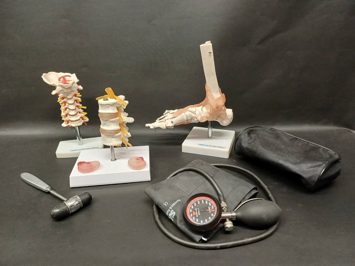 Anatomie set