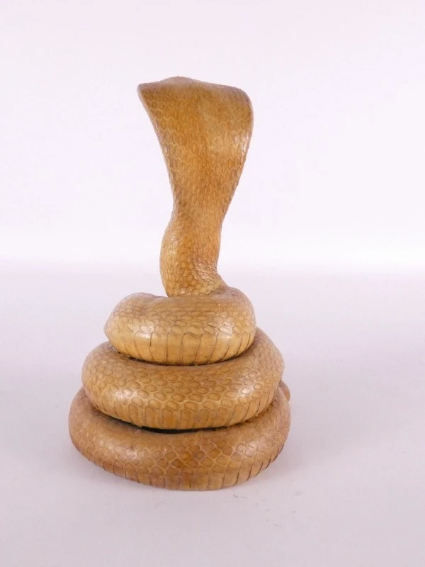 Opgezette cobra (taxidermie) – decoratief natuurhistorisch object