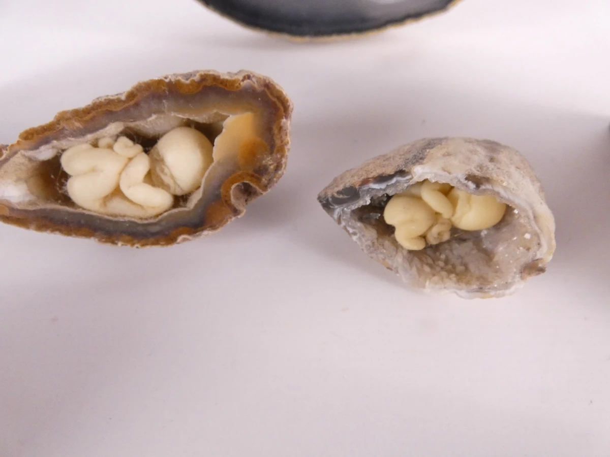 Agaat geodes, -schijven en kaarshouders