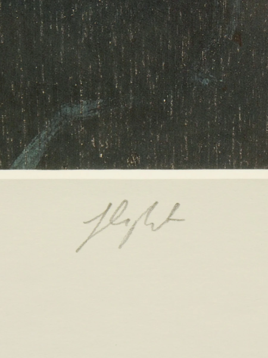 Christian Straetling(°1960) "Flight" gesigneerde Offsetprint naar een originele kleurenlitho E 52/150