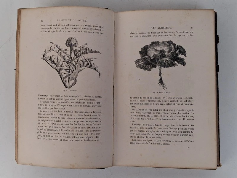 📚 Louis Figuiere – Le Savant du Foyer (1862) - foto 5