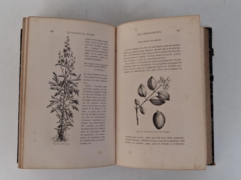 📚 Louis Figuiere – Le Savant du Foyer (1862) - foto 6