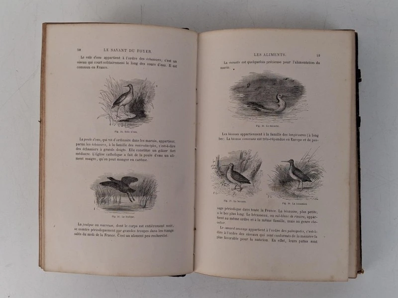 📚 Louis Figuiere – Le Savant du Foyer (1862) - foto 4