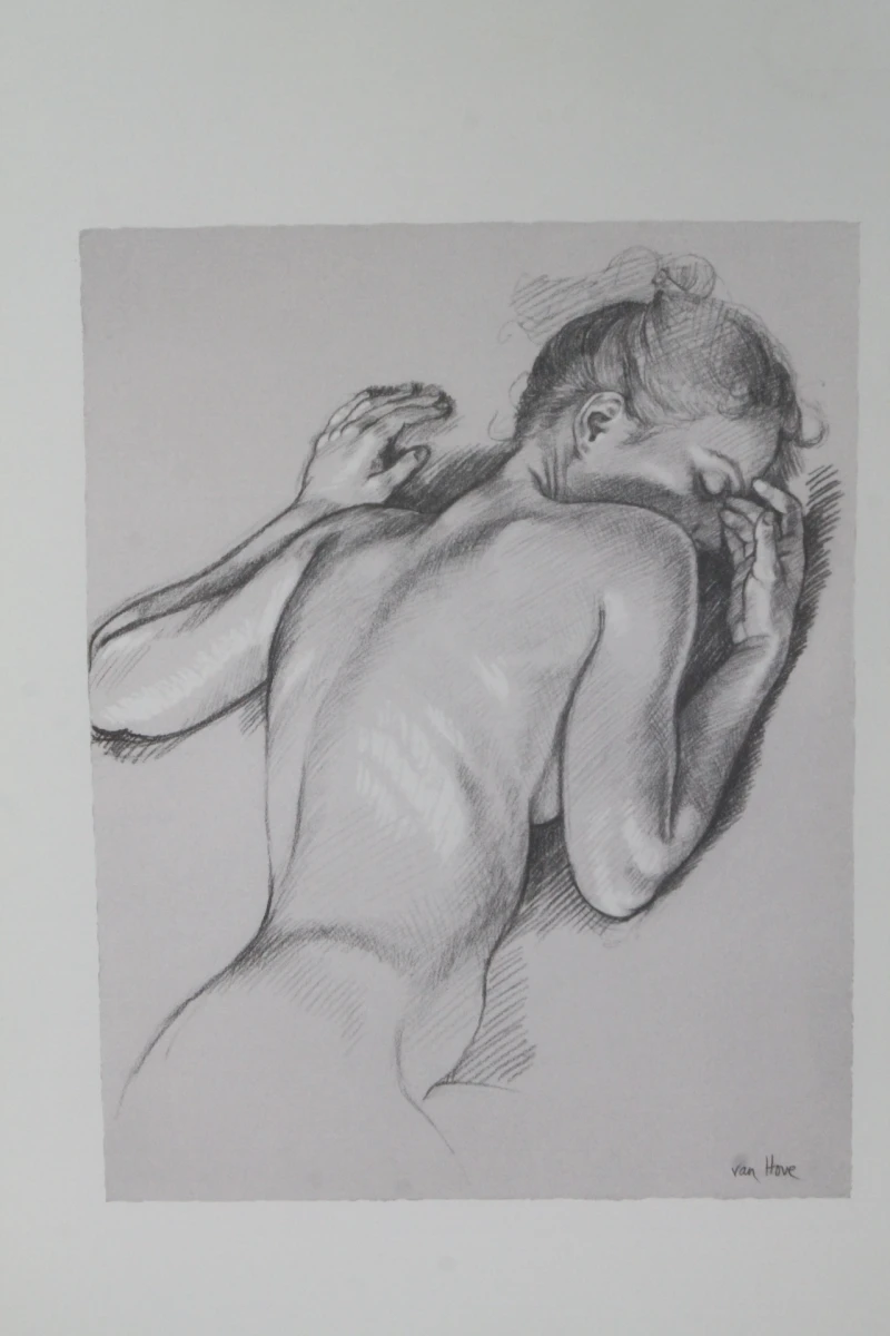 Ingelijste fotolithografie - Francine Van Hove