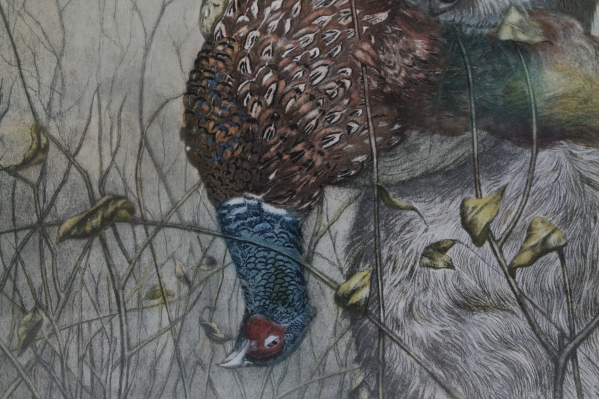 Ingelijste kleuretlithografie: Griffon Korthals met fazant