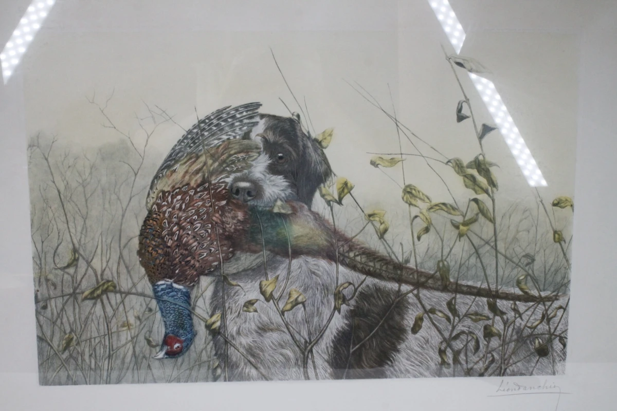 Ingelijste kleuretlithografie: Griffon Korthals met fazant