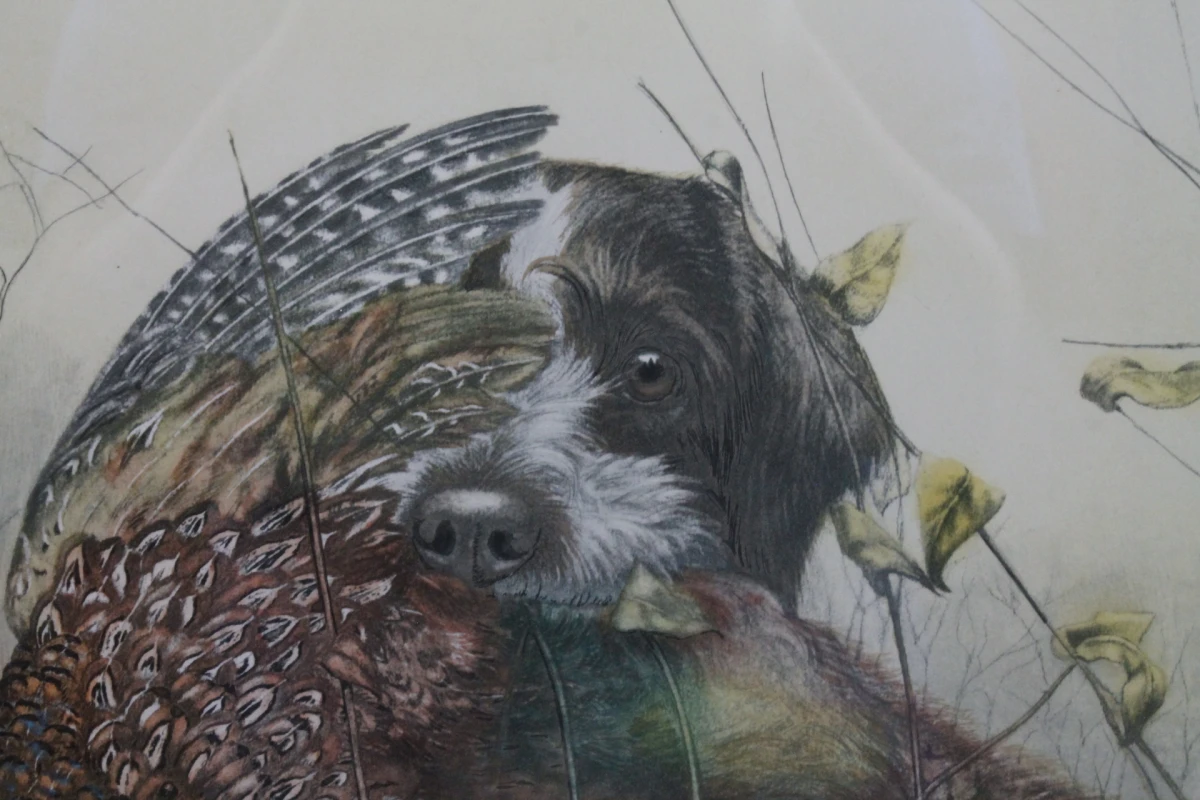Ingelijste kleuretlithografie: Griffon Korthals met fazant