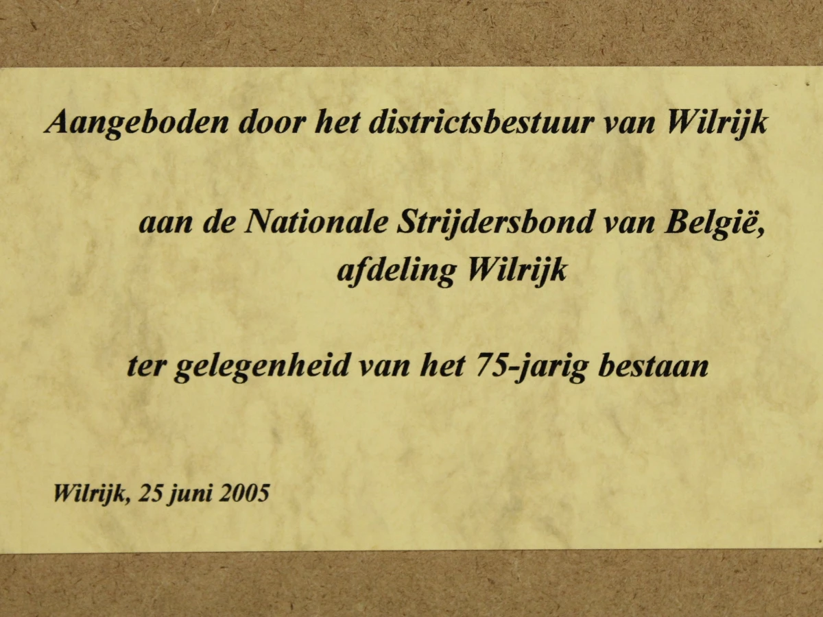 Ingelijste kunstdruk 'Wilrijk in de toekomst' van Anneke De Keyser