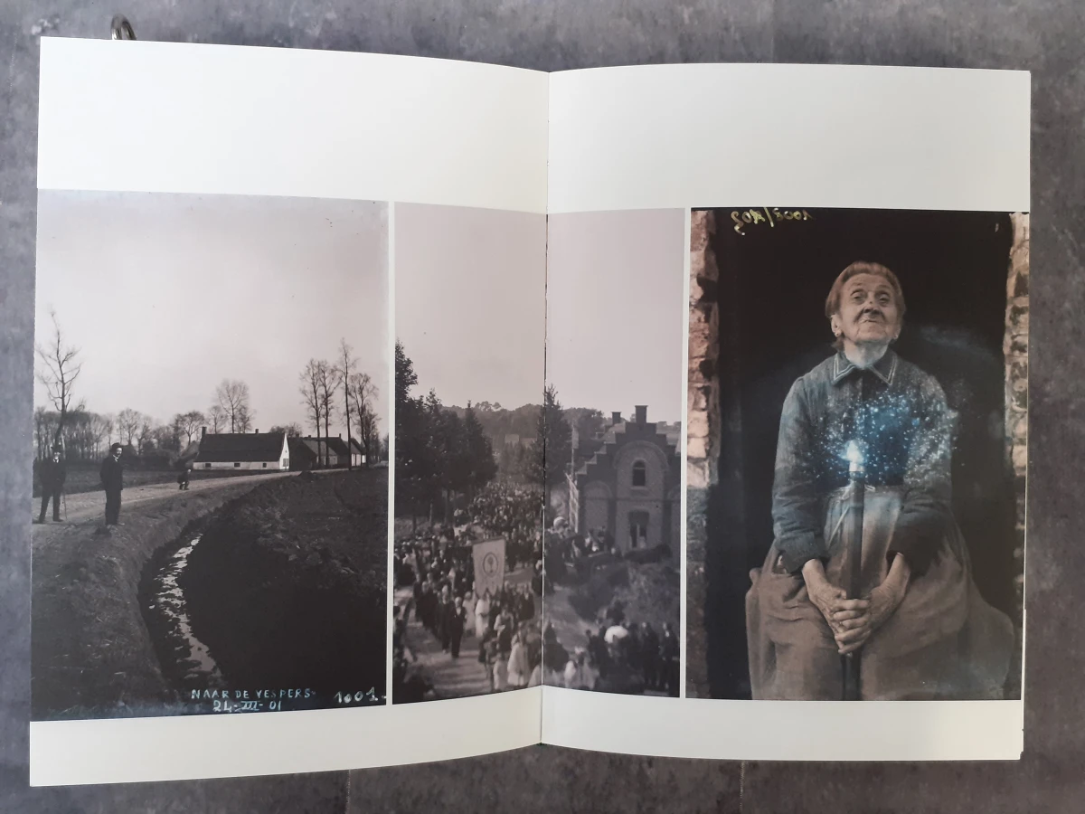 Boek: Stijn Streuvels - Het Lijsternest - foto 4