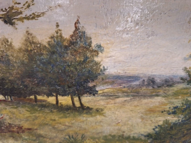 Set van 2 landelijke landschappen - Olieverf op hout - V. Mertens