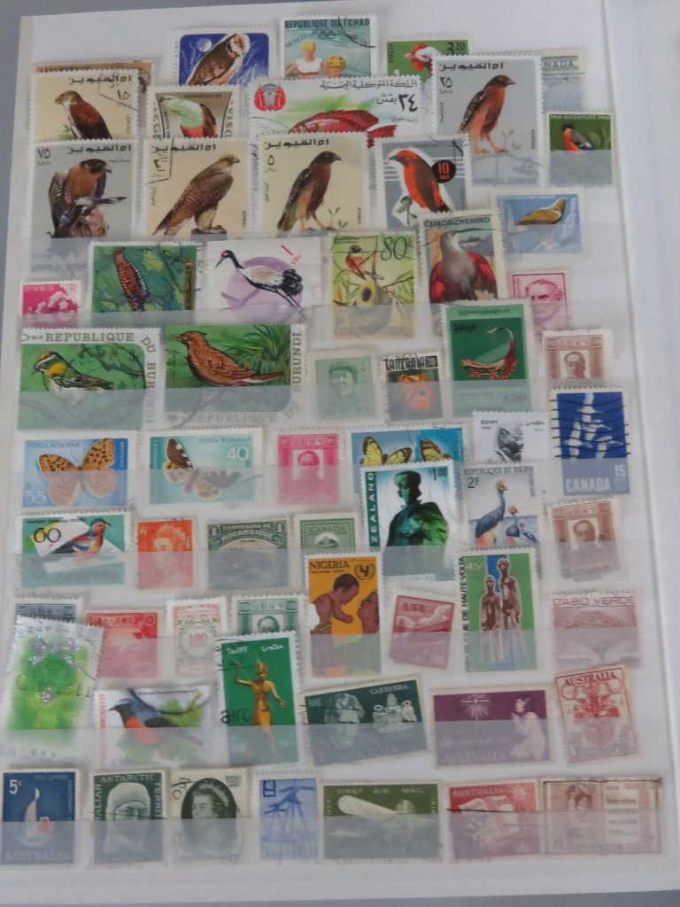 Postzegelverzameling in album met Belgische en vele andere postzegels