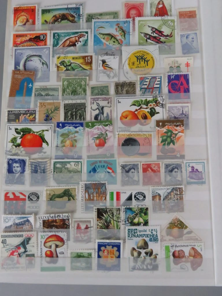 Postzegelverzameling in album met Belgische en vele andere postzegels