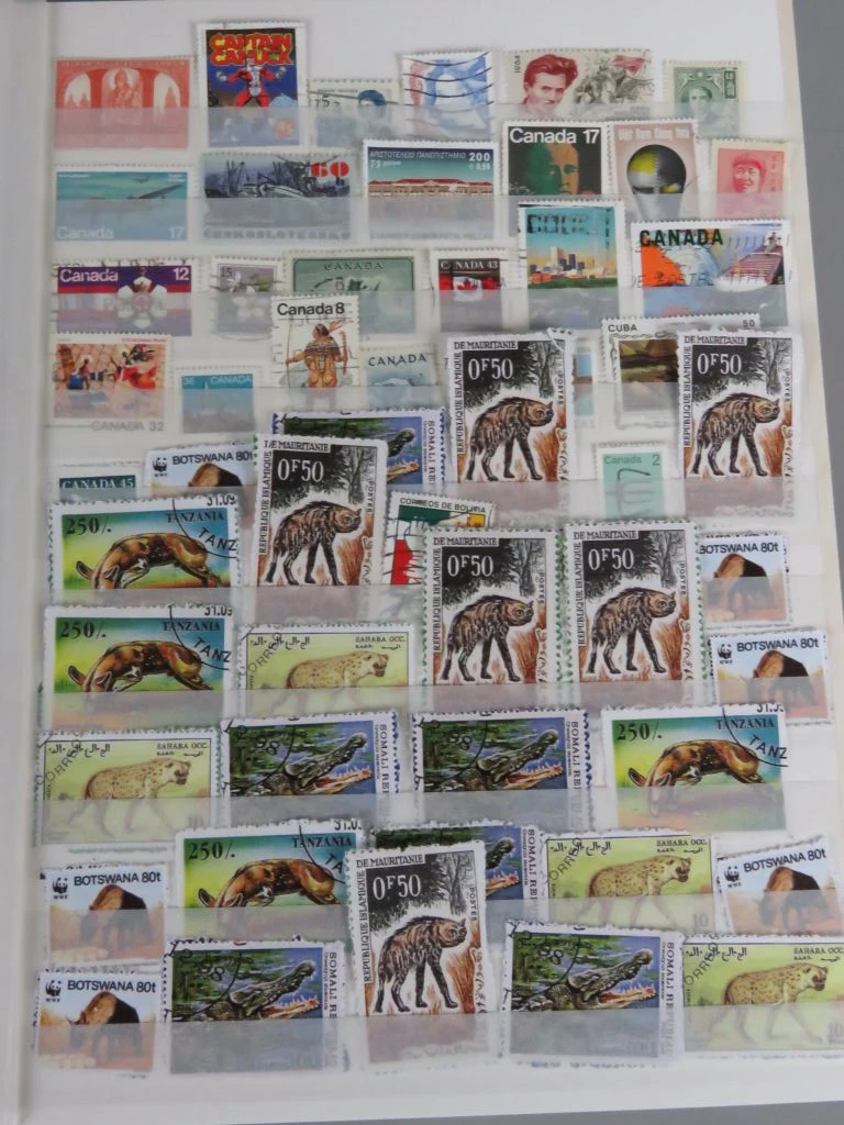 Postzegelverzameling in album met Belgische en vele andere postzegels