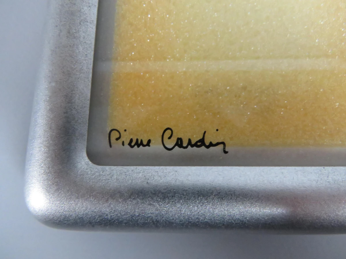 Pierre Cardin fotokader
