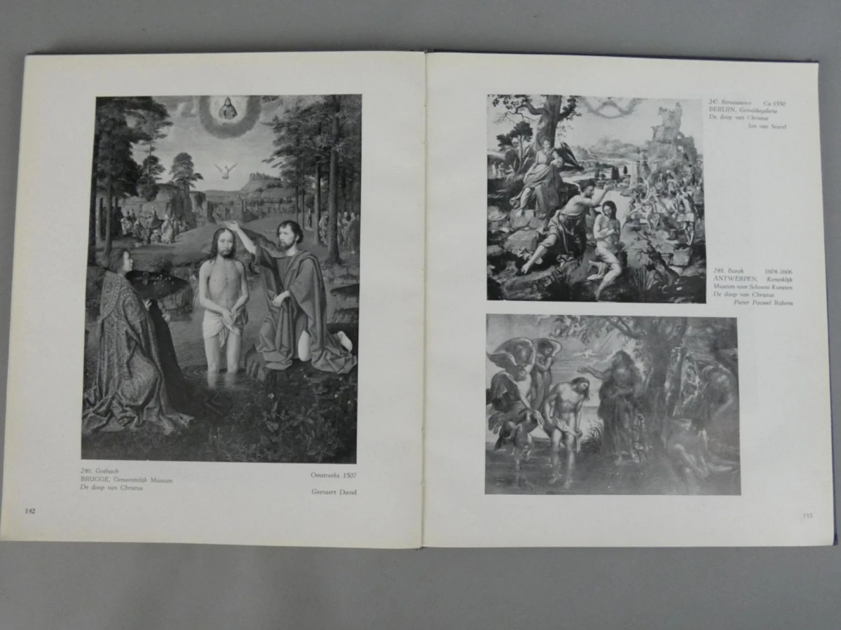Boek Kunst in België - Romaanse, Gotiek, Renaissance, Barok