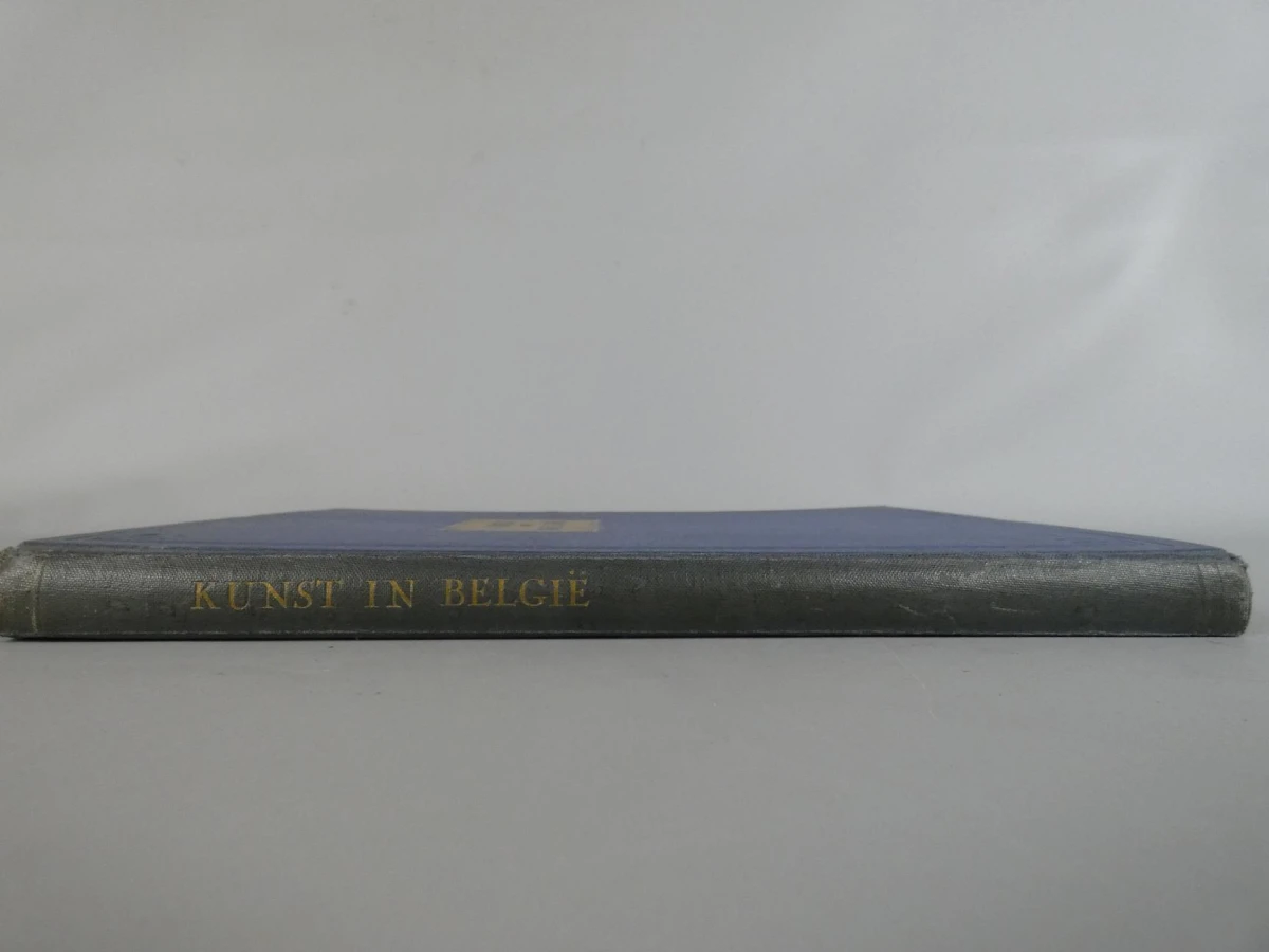 Boek Kunst in België - Romaanse, Gotiek, Renaissance, Barok