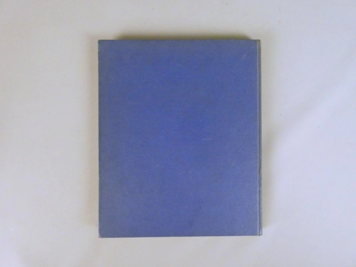 Boek Kunst in België - Romaanse, Gotiek, Renaissance, Barok