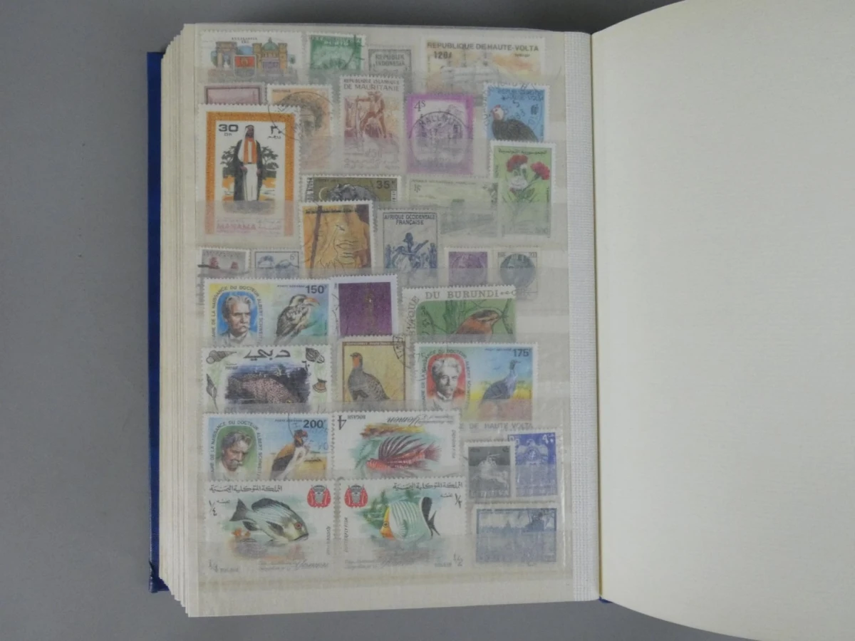 Postzegelverzameling in album