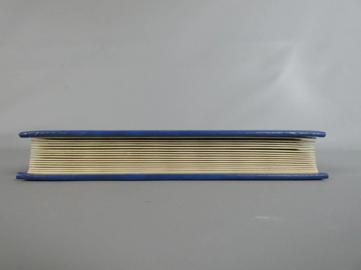 Postzegelverzameling in album