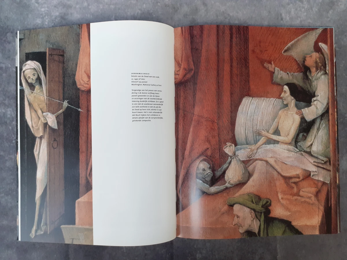 Boek: Set van 4 kunstboeken uit de Ludion focus reeks - foto 9