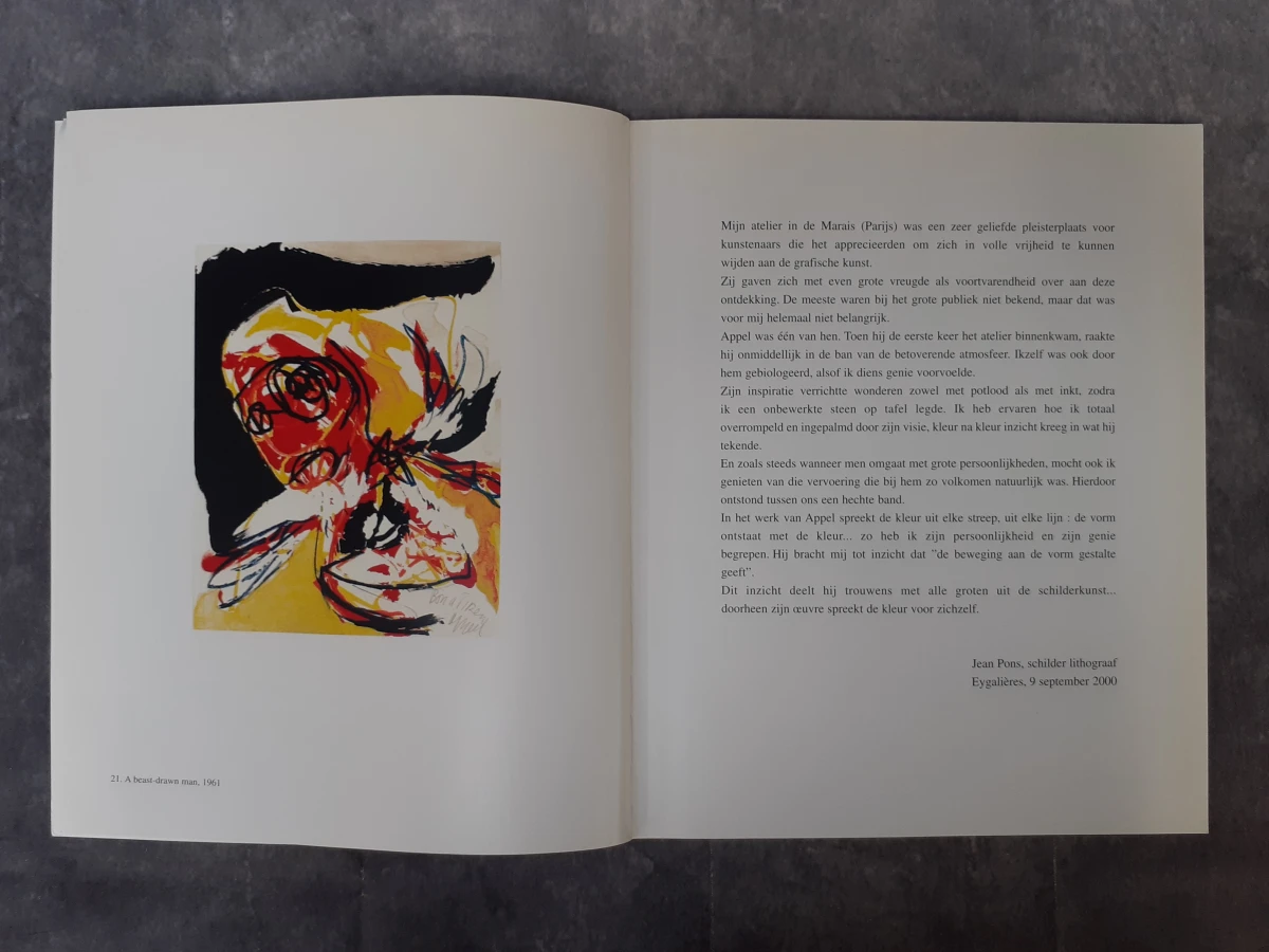 Boek: Duo van Karel Appel Catalogi - foto 12