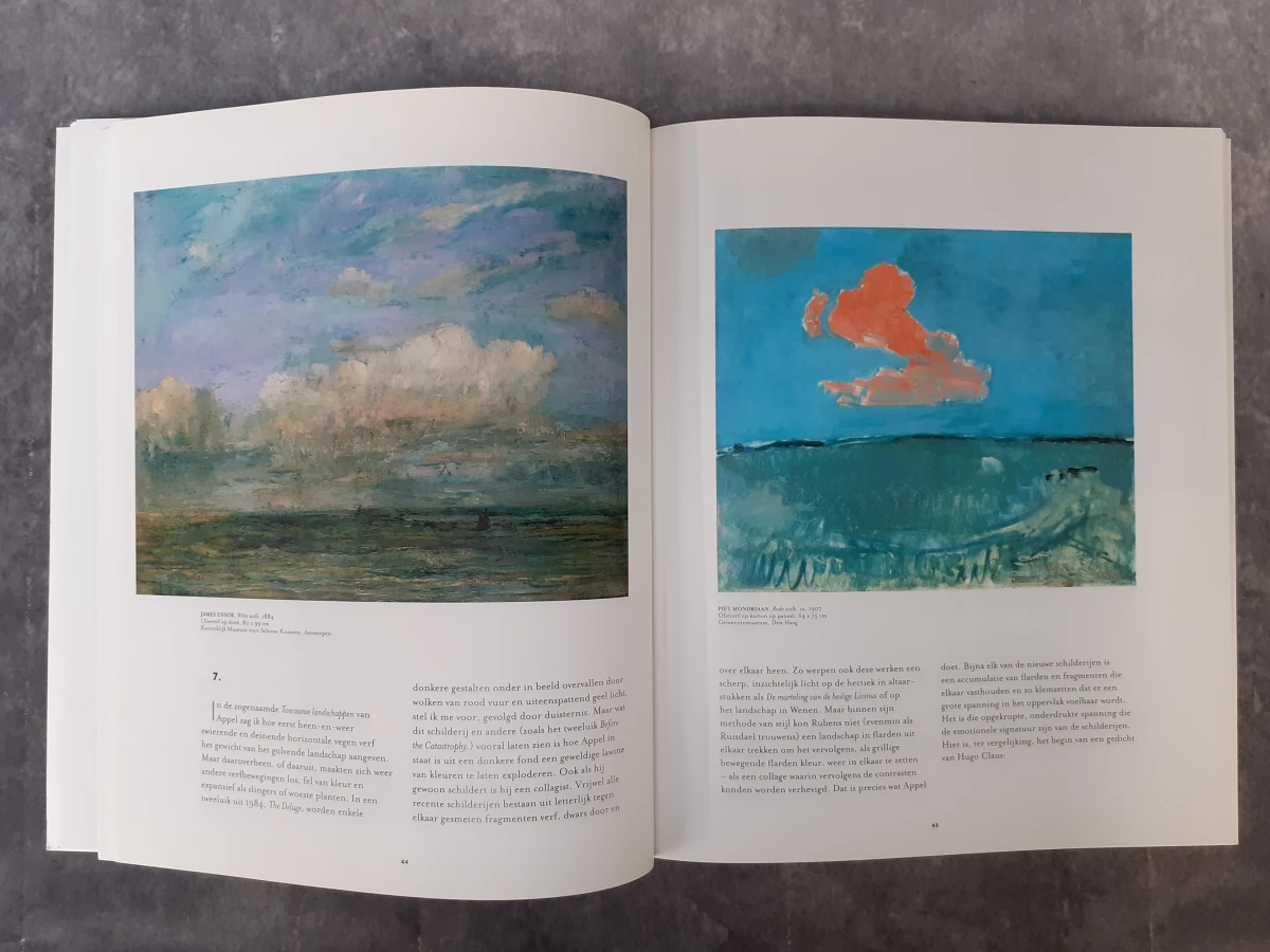 Boek: Duo van Karel Appel Catalogi - foto 4