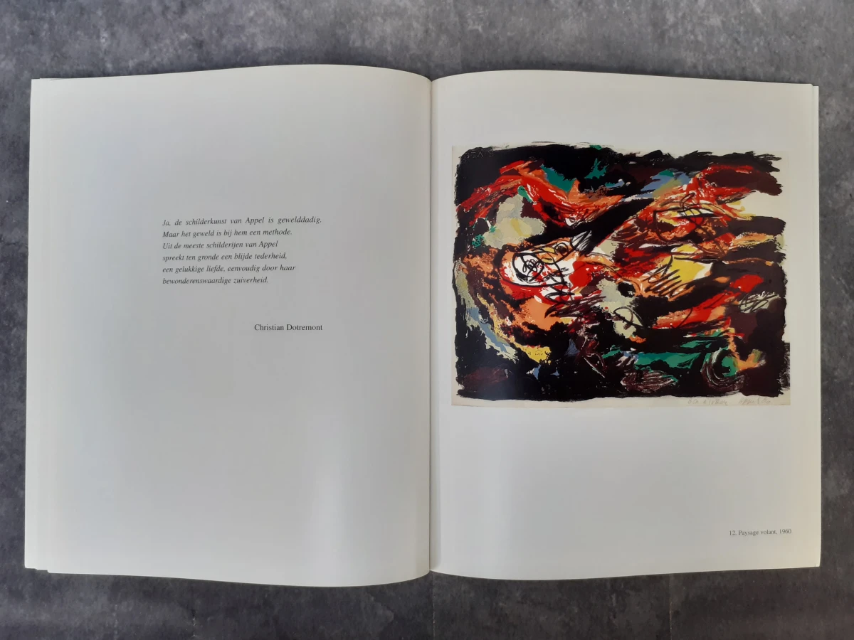 Boek: Duo van Karel Appel Catalogi - foto 14