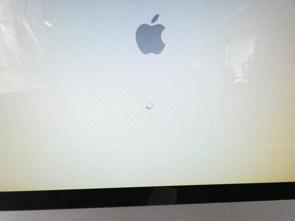 werkende Apple iMac (Early 2008) compleet met toetsenbord en muis