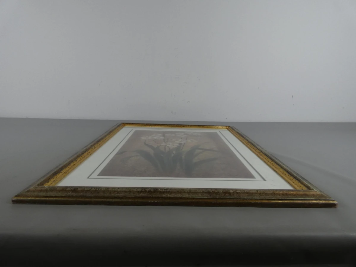 Ingelijste Print van Witte Orchideeën