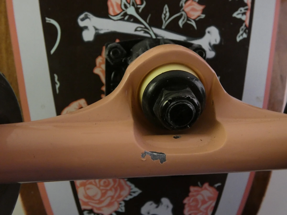 Santa Cruz Floral Decay Cruiser Skateboard