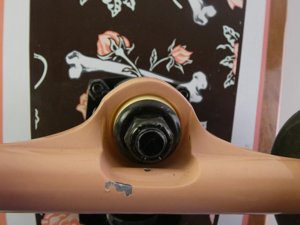Santa Cruz Floral Decay Cruiser Skateboard