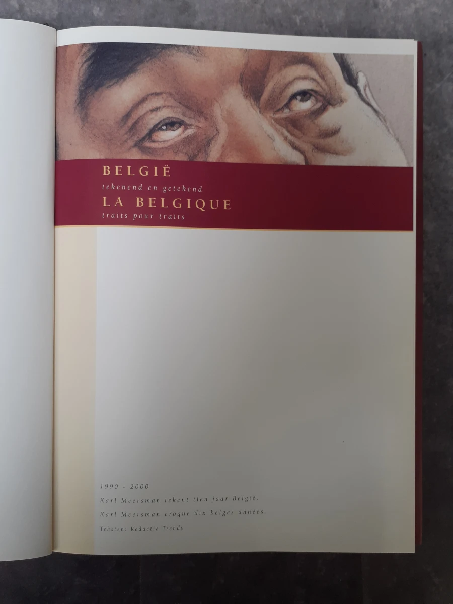 Boek: België tekenend en getekend - foto 3