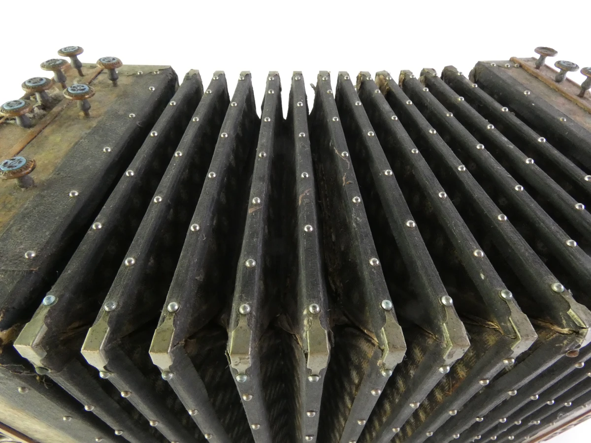 Vintage accordeon met knoppen en leren balg