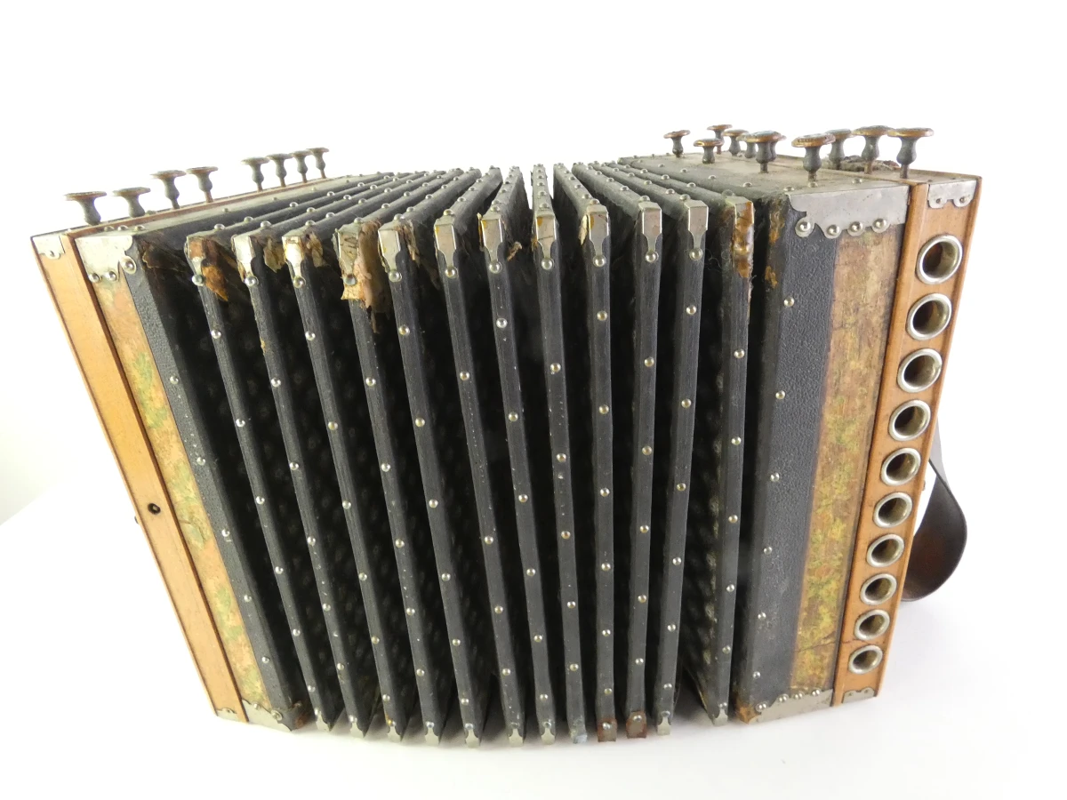 Vintage accordeon met knoppen en leren balg