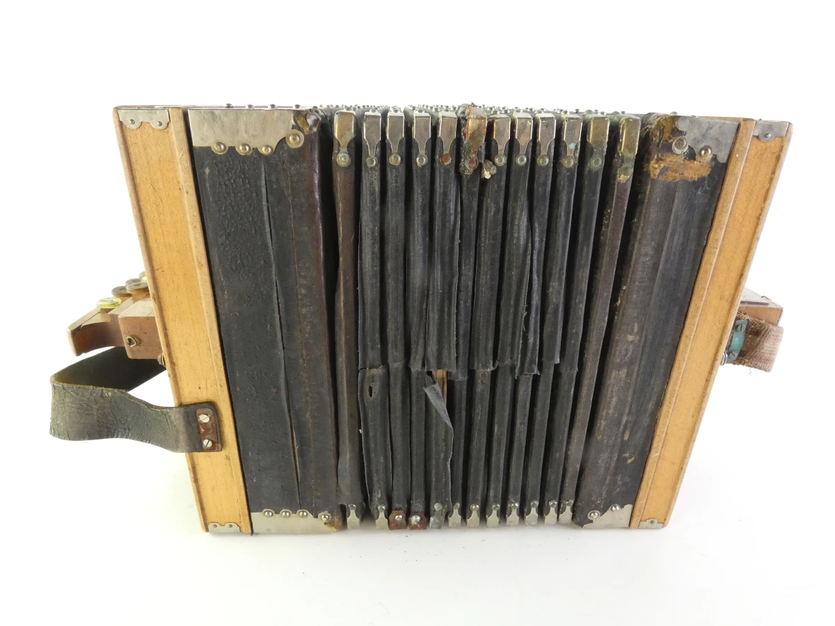 Vintage accordeon met knoppen en leren balg